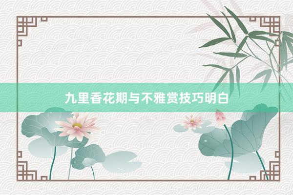 九里香花期与不雅赏技巧明白