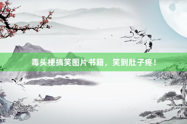 毒头梗搞笑图片书籍,笑到肚子疼!
