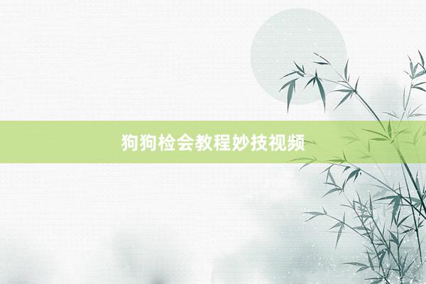 狗狗检会教程妙技视频