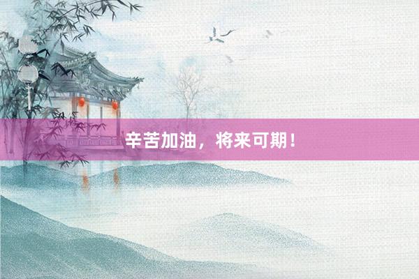 辛苦加油，将来可期！